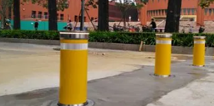 不可或缺的學校好色直播APP下载